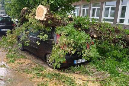 Posljedica jakog nevremena u Tuzli: Drvo palo na automobil, intervenisali vatrogasci