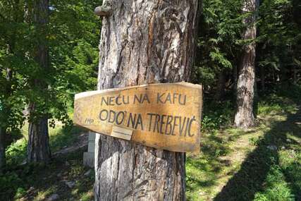 Jeste li čuli za dendroterapiju? Ako ste pod stresom, ovo pomaže