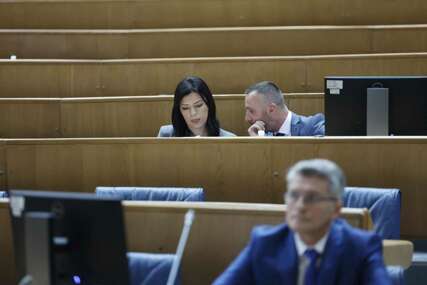SNSD podnio inicijativu za smjenu Konakovića, ali neće prisustvovati hitnoj sjednici Zastupničkog doma BiH