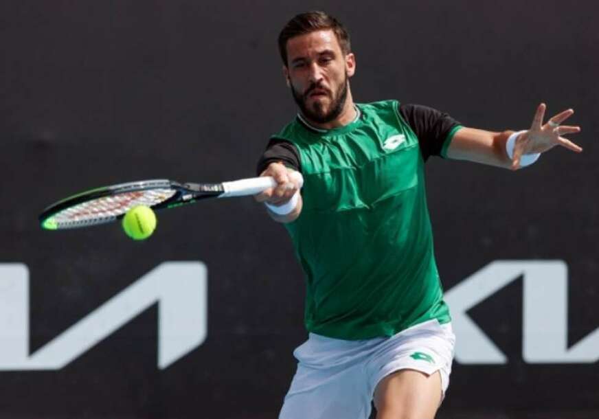Damir Džumhur