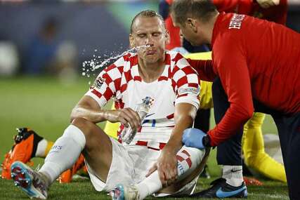 Domagoj Vida