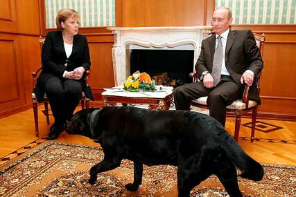 Događaj iz 2007. godine opisan u memoarima!  Putin se izvinio Merkel zbog psa: "Nisam znao da se bojiš, neću to više nikad uraditi"
