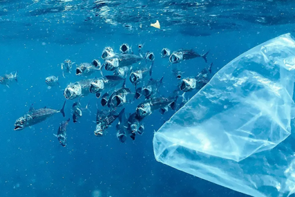 Naučnici su stvorili plastiku koja se potpuno raspada u morskoj vodi