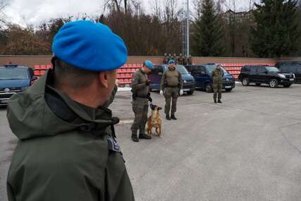 Policijski pas Rea najbolji tragač za eksplozivom u BiH
