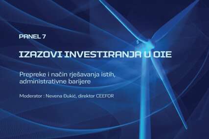 SKLADIŠTENJE ENERGIJE, FINANSIRANJE I PROCES DOBIJANJA DOZVOLA – Najveći izazovi za investiranje u obnovljive izvore energije