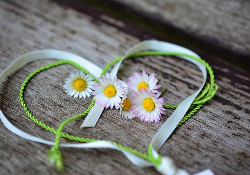FOTO: PIXABAY