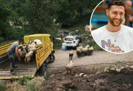 Jusuf Nurkić kupio ovce porodici iz Foče nakon što su im vukovi pobili cijelo stado (VIDEO)